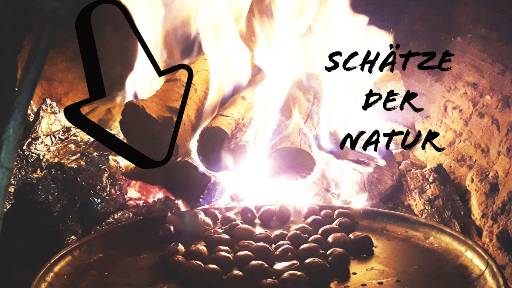 Bildrechte: WDR